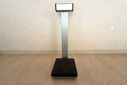1 BILANCIA PESAPERSONE A COLONNA “SECA” ELETTRONICA DIM. 30x87x36 CM